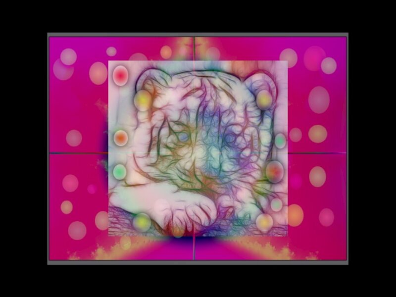 Tiger Cub Face — Pink