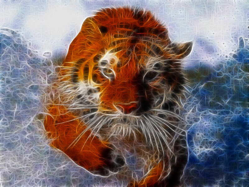 Tiger Cub Head — Orange