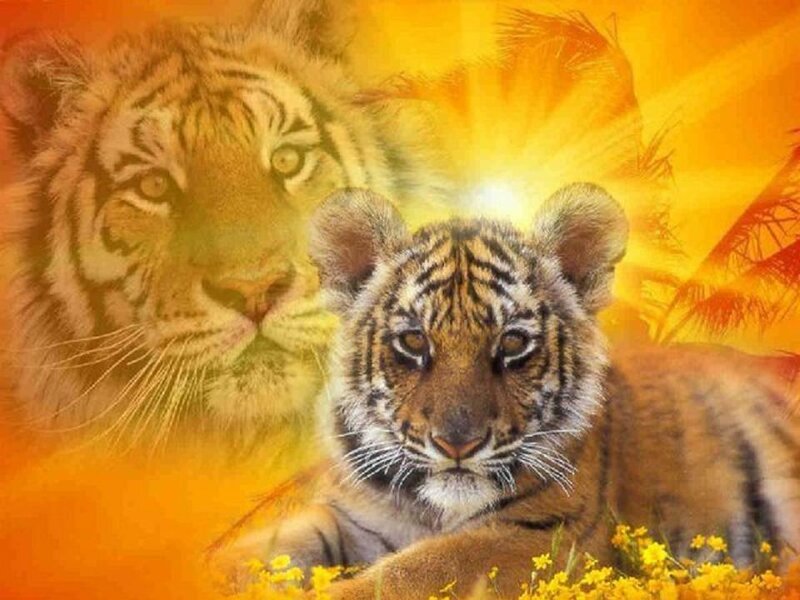 Tiger Cub in Flowers — Orange