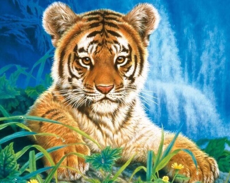 Tiger Cub in Grass — Blue, Calm
