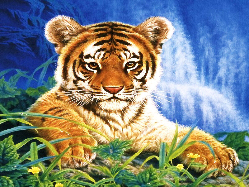 Tiger Cub in Grass — Blue