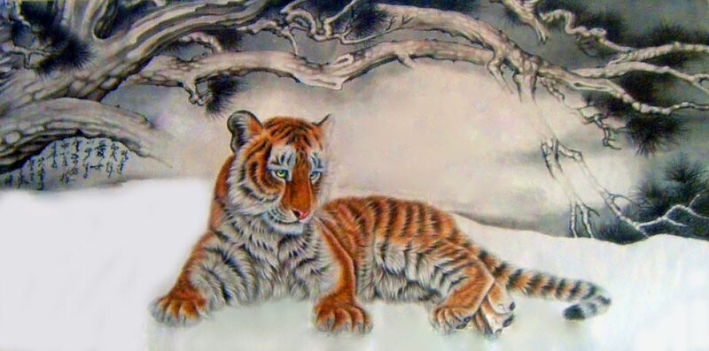 Tiger Cub in Snow — Orange, Calm