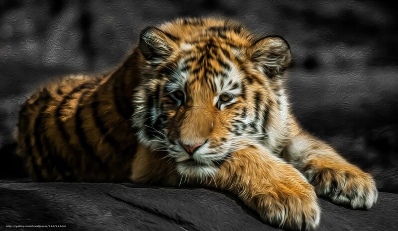 Tiger Cub Lying Down — Orange, Calm, Digital Art, Stripes, Dark Background