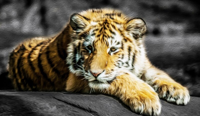 Tiger Cub Lying Down — Orange, Calm, Digital Art, Stripes
