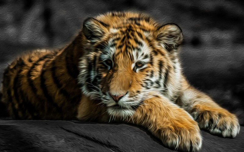 Tiger Cub Lying Down — Orange, Calm, Digital Art