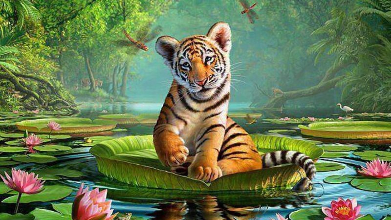 Tiger Cub on Lily Pad — Green, Serene