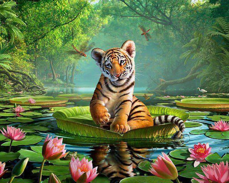 Tiger Cub on Lily Pad