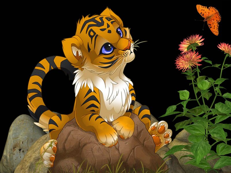 Tiger Cub on Rock — Orange, Calm, Night