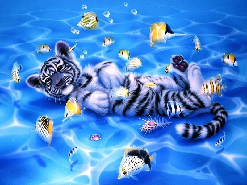 Tiger Cub Underwater