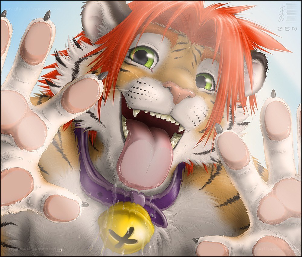 tiger cub with red hair
