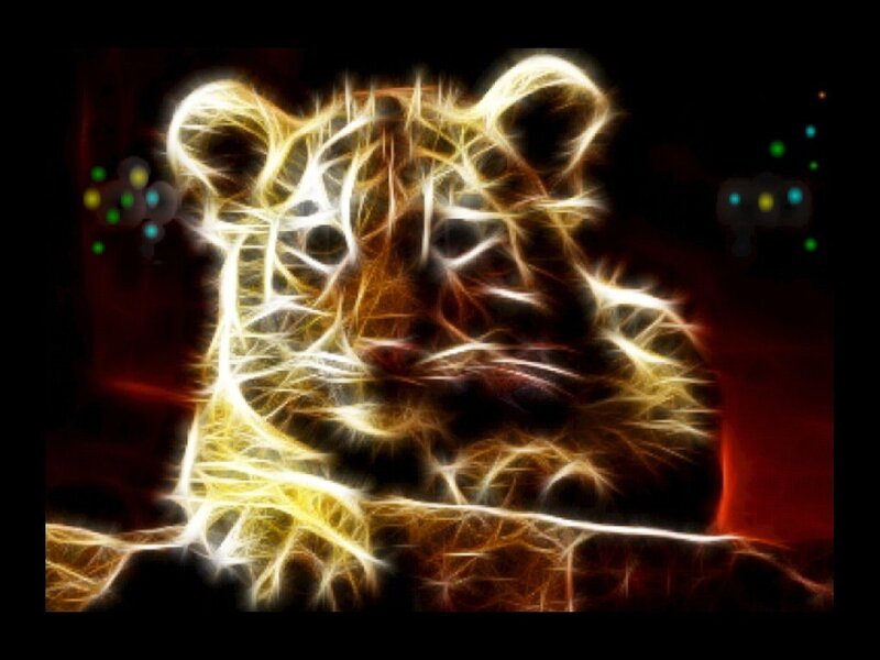 Tiger Cub — Yellow