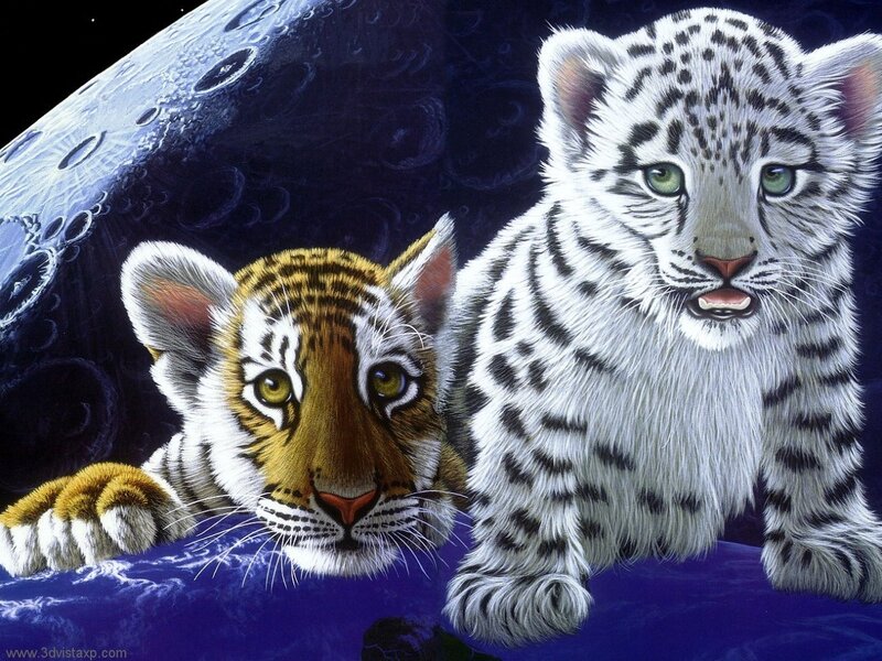 tiger cubs on moon