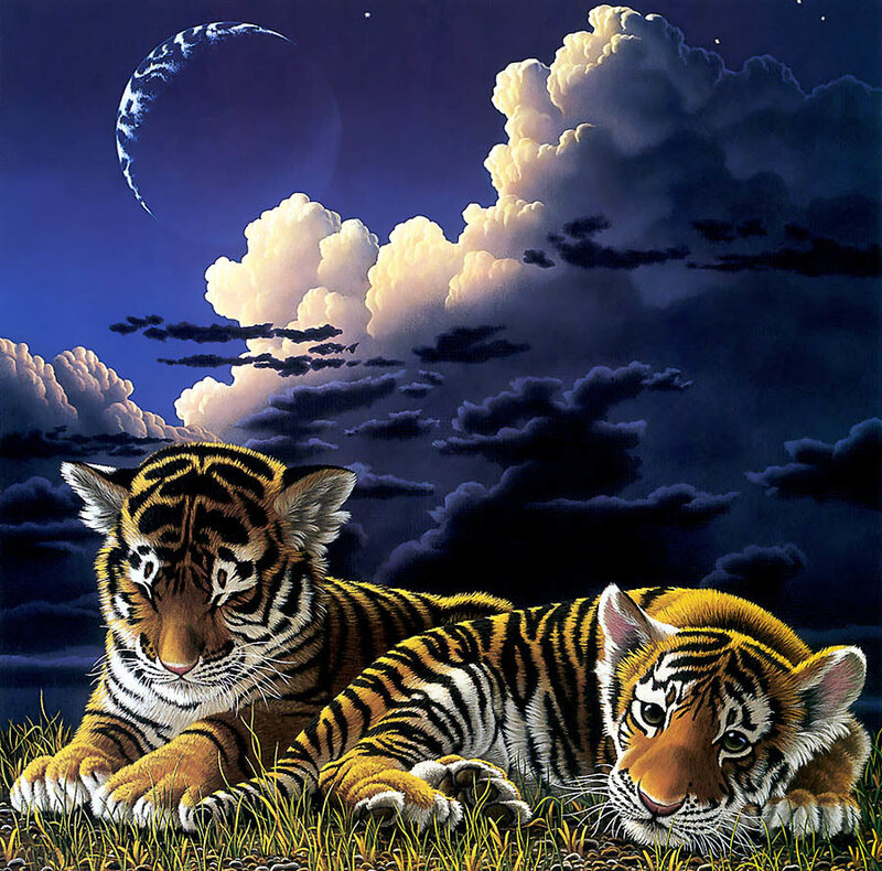 Tiger cubs under moonlight