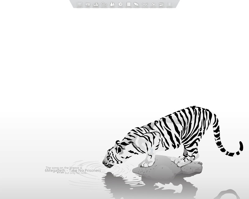 tiger drinking from water