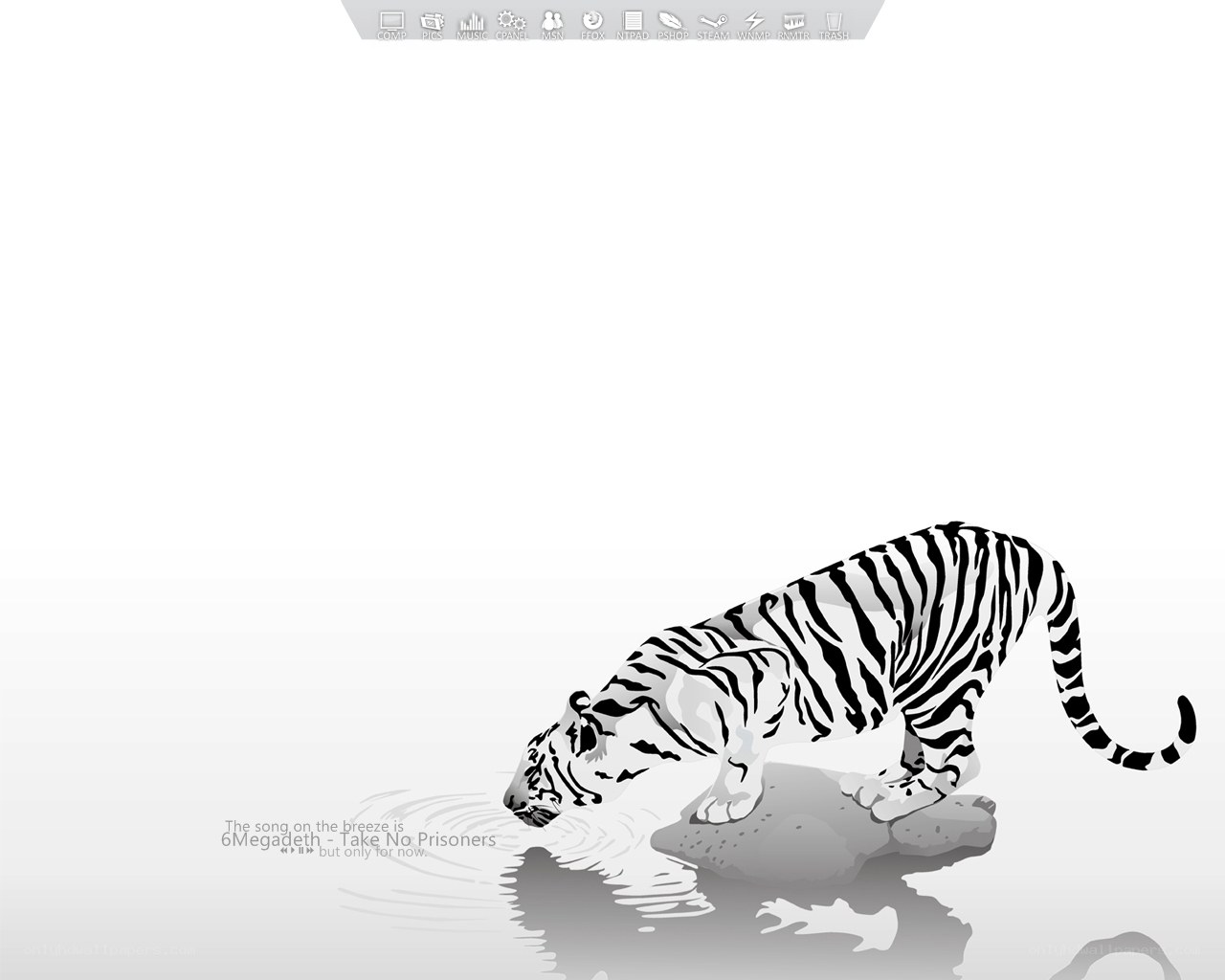 tiger drinking from water