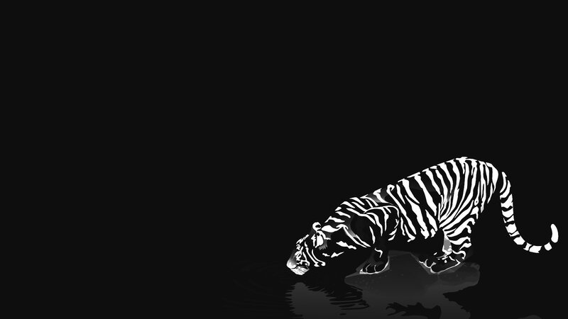 Tiger Drinking Water — Black, Dramatic, Night, Digital Art, White