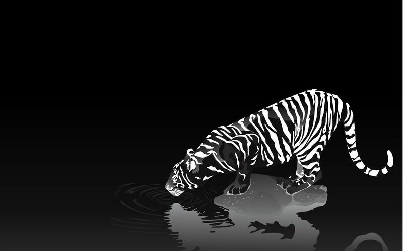 Tiger Drinking Water — Black, Dramatic, Night, Vector Art, Reflection