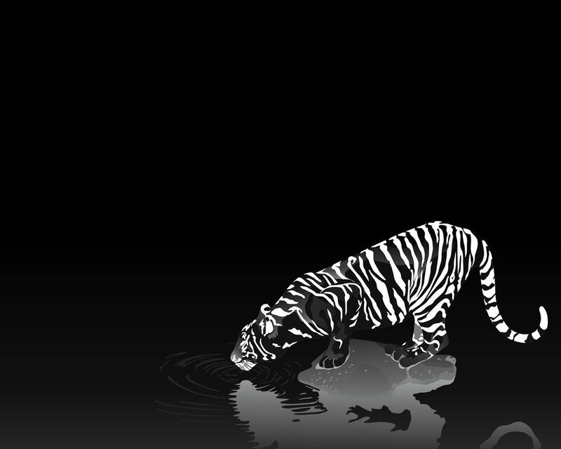 Tiger Drinking Water — Black, Dramatic, Night, Vector Art