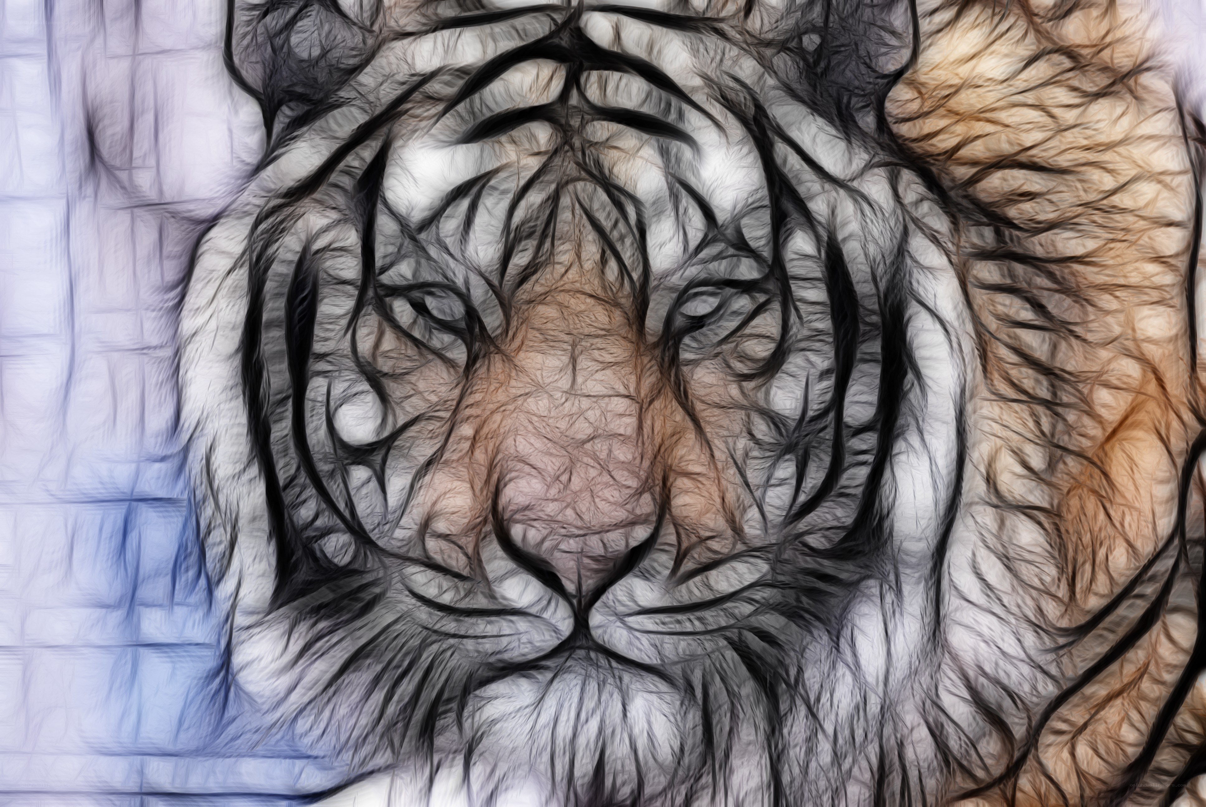 tiger face artistic rendering