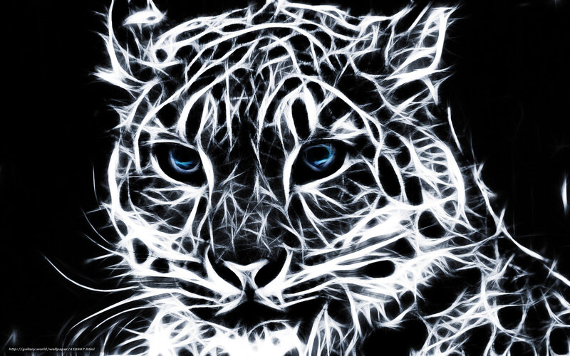 Tiger Face — Black, Dramatic