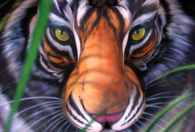 tiger face body paint