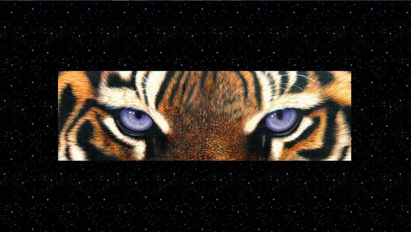 Tiger Face Close-up — Black, Dramatic