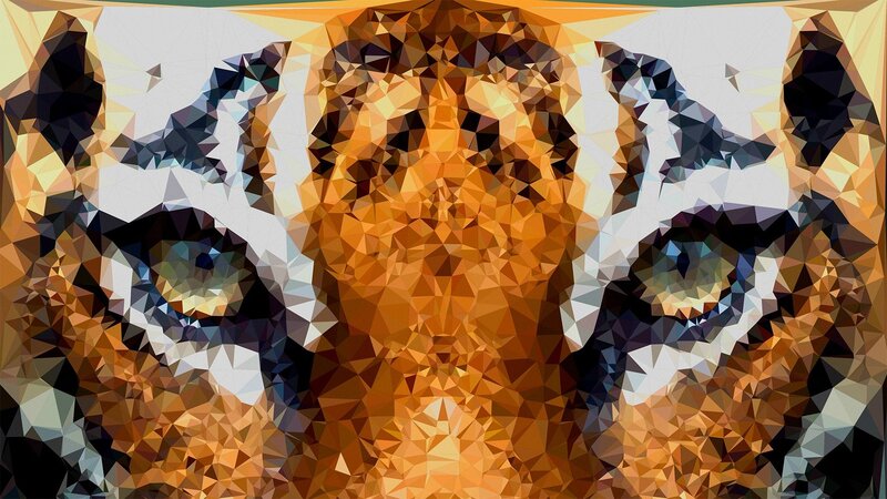 Tiger Face Close-up — Orange, Intense, Digital Art, Eyes, Stripes