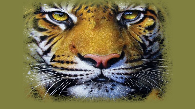 Tiger Face Close-up — Orange, Intense, Digital Art, Eyes