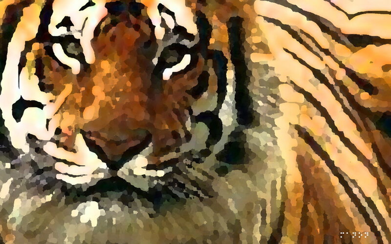 Tiger Face Close-up — Orange, Intense, Digital Art, Stripes, Eyes