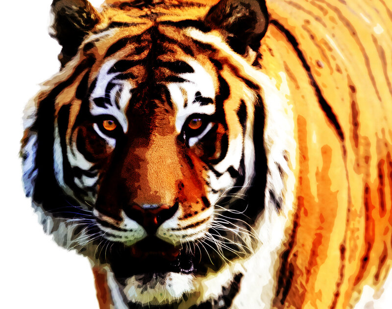 Tiger Face Close-up — Orange, Intense, Digital Art