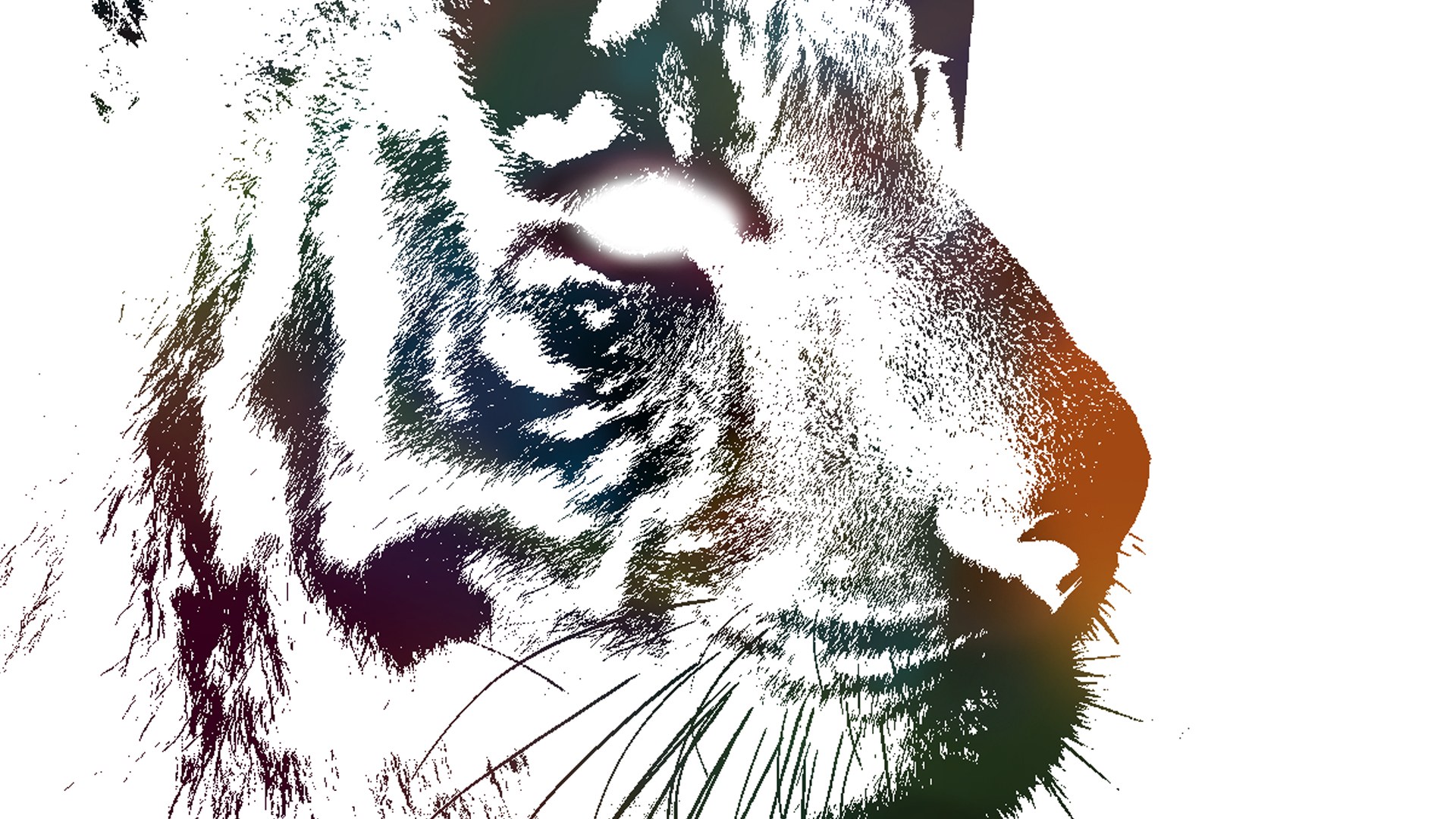 tiger face in artistic style
