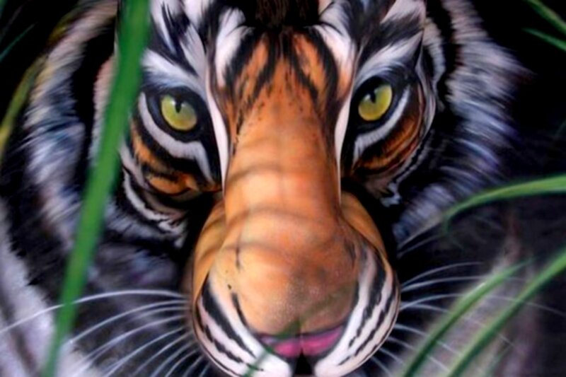 Tiger Face in Grass
