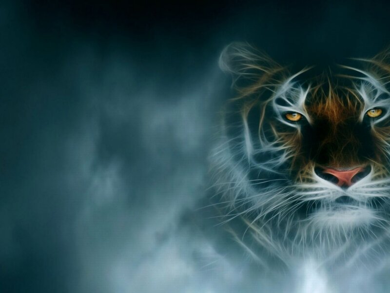 Tiger Face in Mist