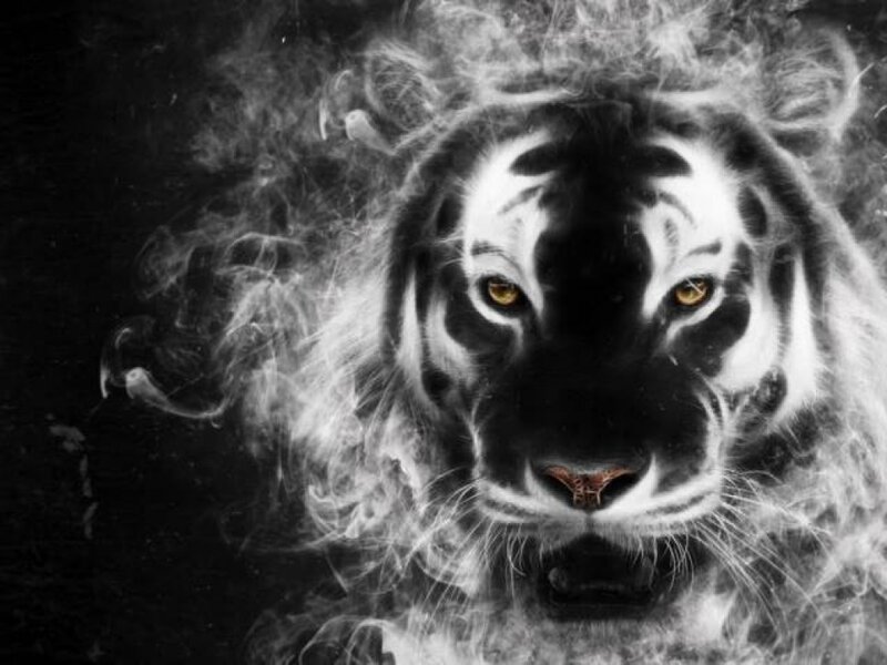 Tiger Face in Smoke — Black, Dramatic, Digital Art