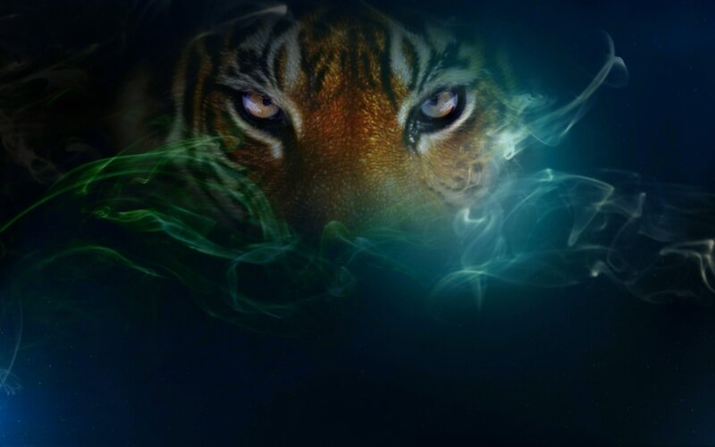Tiger Face in Smoke