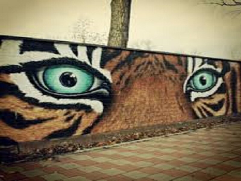 Tiger Face Mural