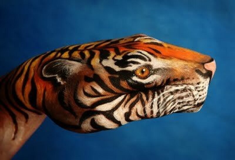 Tiger Face on Hand — Orange