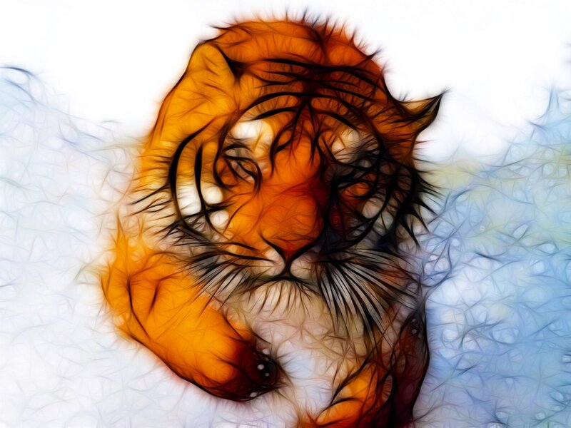 Tiger Face — Orange, Dramatic, Digital Art