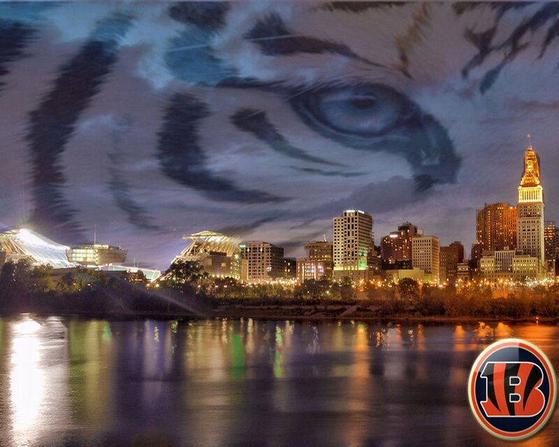 Tiger Face over City