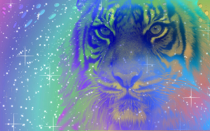 Tiger Face — Purple