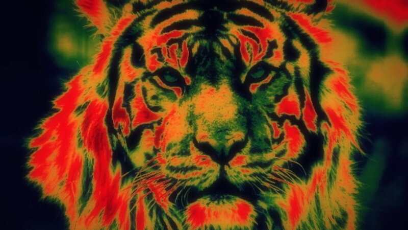 Tiger Face — Red