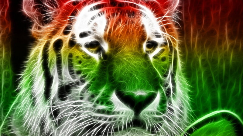 Tiger Face