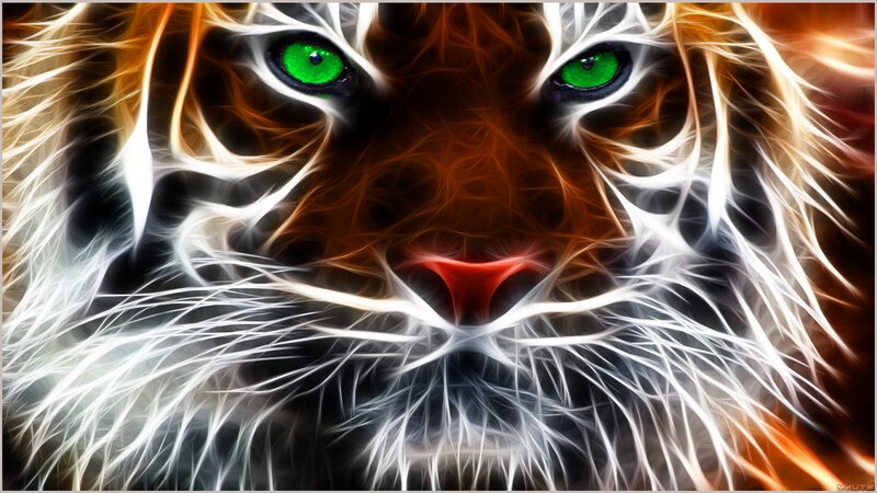 Tiger Face with Green Eyes