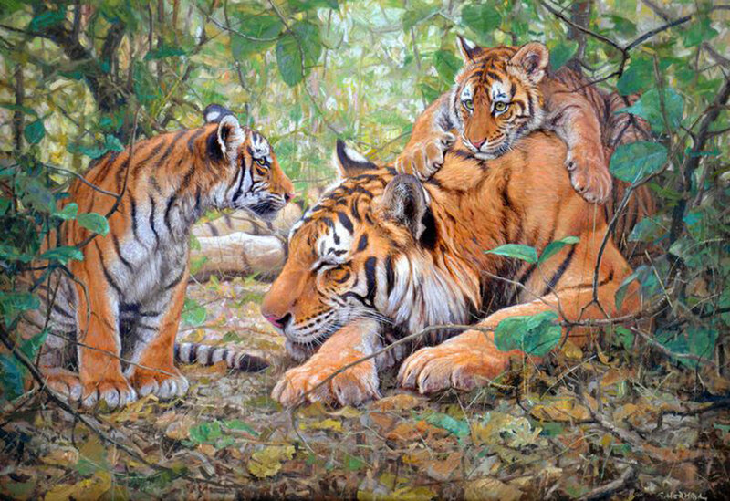 Tiger Family in Forest — Orange, Peaceful