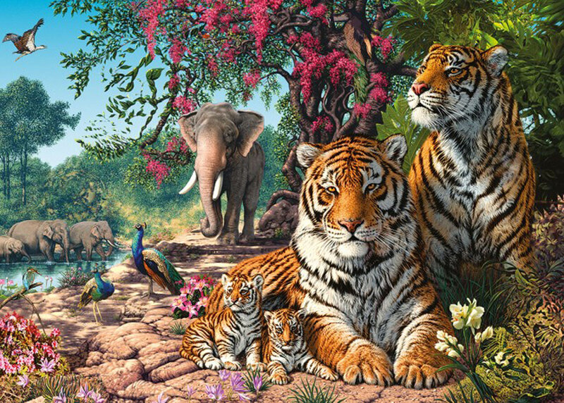 Tiger Family in Forest — Orange, Serene