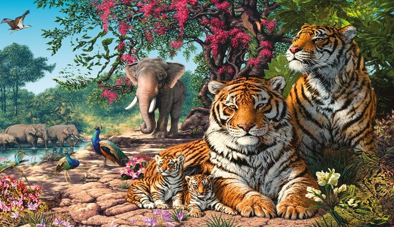 Tiger Family in Forest — Orange