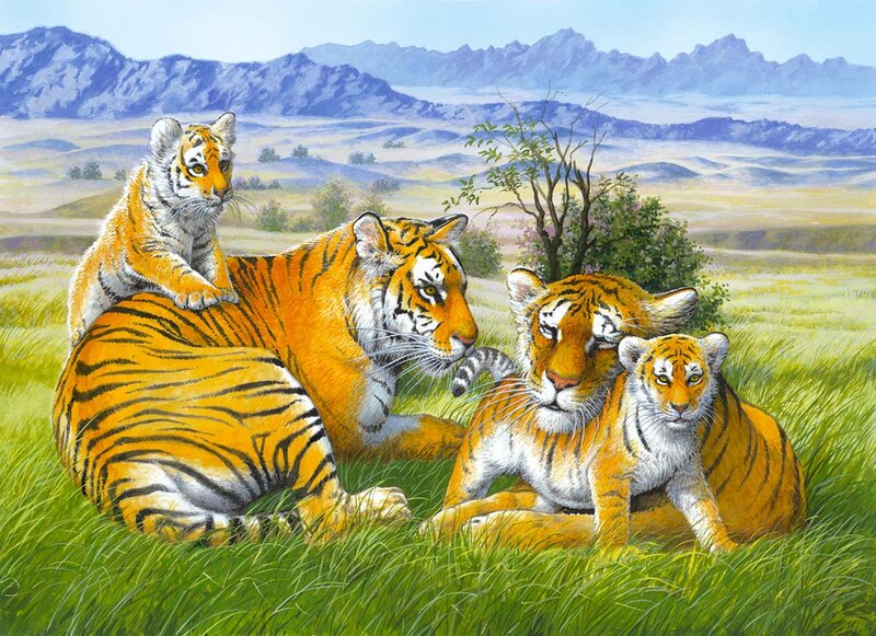 Tiger Family in Grass