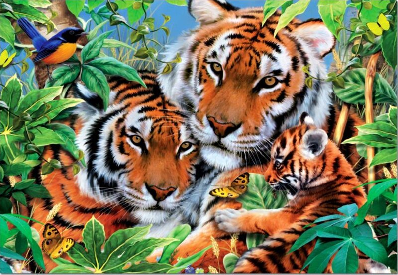Tiger Family in Jungle — Orange, Serene, Afternoon