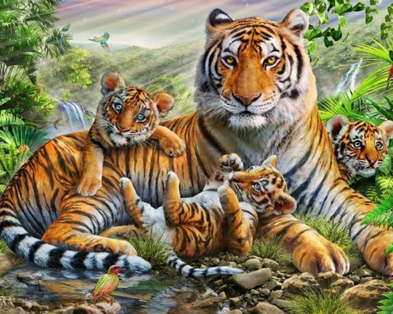 Tiger Family in Jungle — Orange, Serene