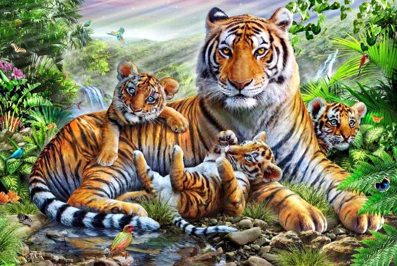 Tiger Family in Jungle — Orange